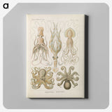 2-58_Ernst-Haeckel_canvas