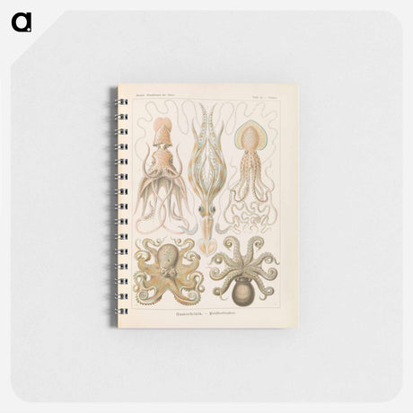 アートメモ帳-Marine life illustration - エルンスト ヘッケル Memo.