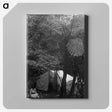 2-58_Frederick-Charles-Brockett_canvas