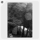 2-58_Frederick-Charles-Brockett_picture-crop