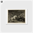 アートポストカード-A Horse Affrighted by a Lion
 - ジョージ スタッブス Postcard.