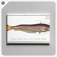2-58_Ichtyologie-ou-Histoire-naturelle_canvas