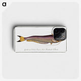 2-58_Ichtyologie-ou-Histoire-naturelle_phone