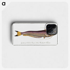 2-58_Ichtyologie-ou-Histoire-naturelle_phone