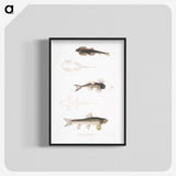 2-58_Indian-Zoology_blk-crop