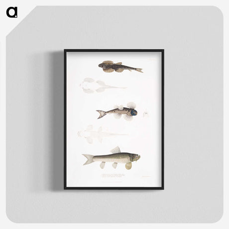 2-58_Indian-Zoology_blk-crop