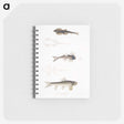 2-58_Indian-Zoology_memo