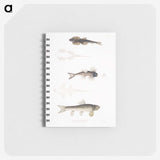 2-58_Indian-Zoology_memo