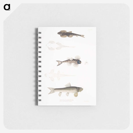 2-58_Indian-Zoology_memo