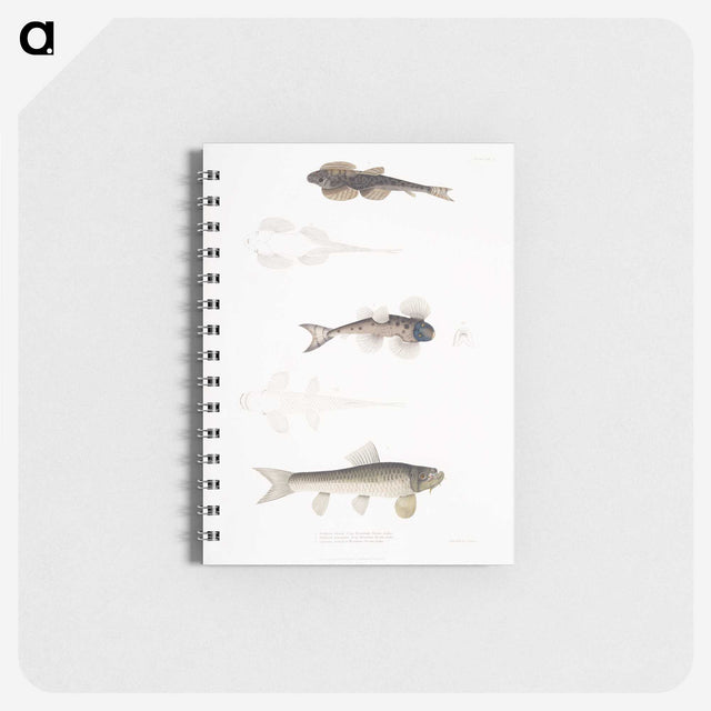 2-58_Indian-Zoology_memo
