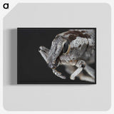 2-58_Insects-Unlocked-Project_blk-crop