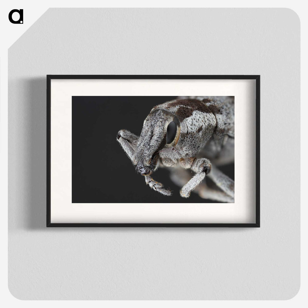 2-58_Insects-Unlocked-Project_blk