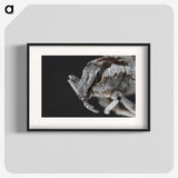 2-58_Insects-Unlocked-Project_blk
