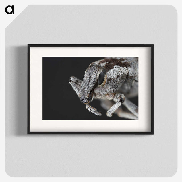 2-58_Insects-Unlocked-Project_blk