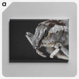 2-58_Insects-Unlocked-Project_canvas