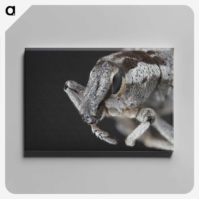 2-58_Insects-Unlocked-Project_canvas
