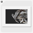 2-58_Insects-Unlocked-Project_picture