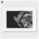 2-58_Insects-Unlocked-Project_picture