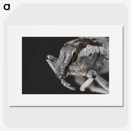 2-58_Insects-Unlocked-Project_picture