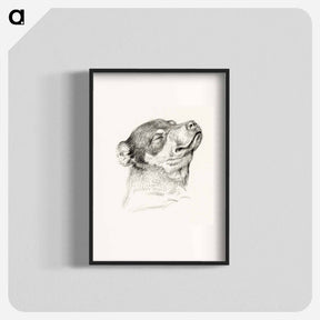 アートポスター-Head of a sleeping dog - ジャン ベルナール Poster.