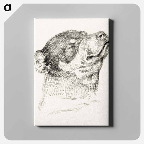 アートパネル-Head of a sleeping dog - ジャン ベルナール Canvas.