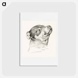 アートポストカード-Head of a sleeping dog - ジャン ベルナール Postcard.