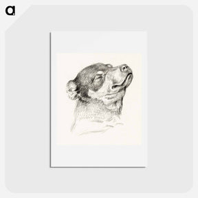 アートポストカード-Head of a sleeping dog - ジャン ベルナール Postcard.