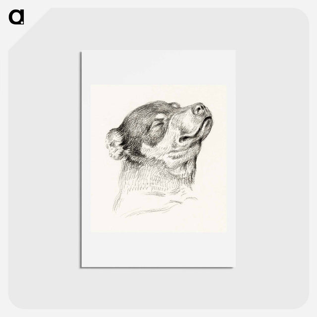 アートポストカード-Head of a sleeping dog - ジャン ベルナール Postcard.