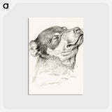 アートポストカード-Head of a sleeping dog - ジャン ベルナール Postcard.