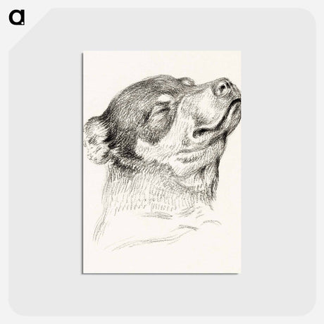 アートポストカード-Head of a sleeping dog - ジャン ベルナール Postcard.