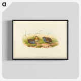 2-58_John-Gould_blk-crop