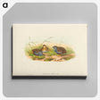 2-58_John-Gould_canvas