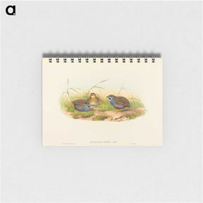 2-58_John-Gould_memo