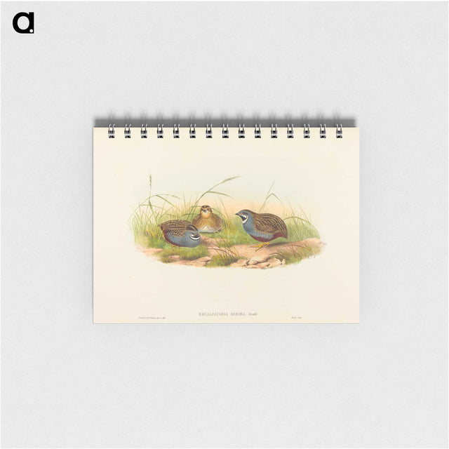 2-58_John-Gould_memo