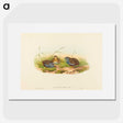 2-58_John-Gould_picture