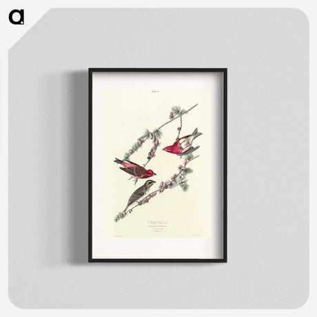 2-58_John-James-Audubon_blk