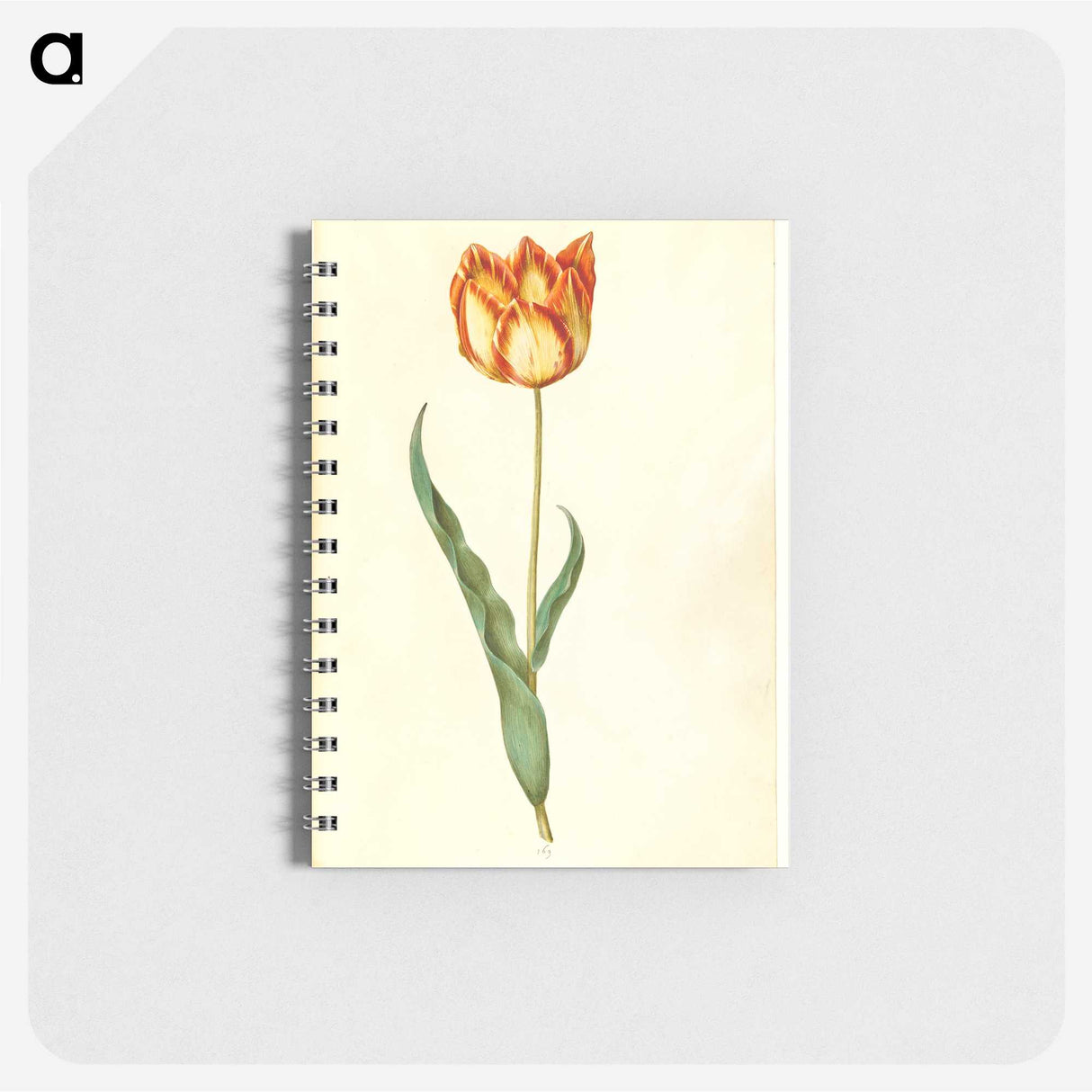 2-58_Maria-Sibylla-Merian_memo