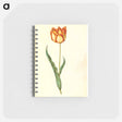 アートメモ帳-Tulipa gesneriana
 - マリア ジビーラ メーリアン Memo.