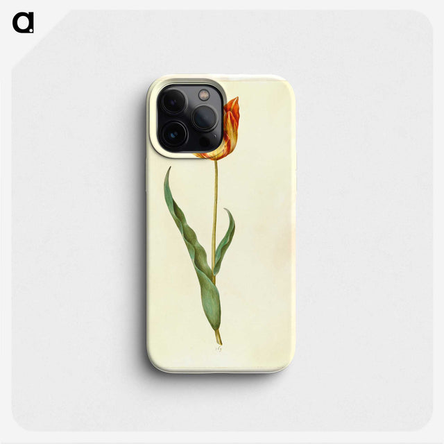 2-58_Maria-Sibylla-Merian_phone