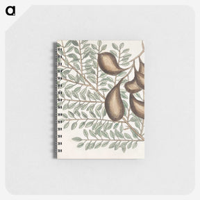 2-58_Mark-Catesby_memo