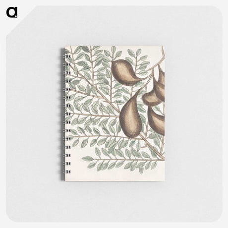 2-58_Mark-Catesby_memo