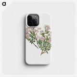 2-58_Mary-Vaux-Walcott_phone