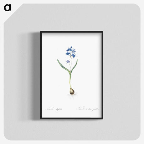 2-58_The-Lilies_blk-crop