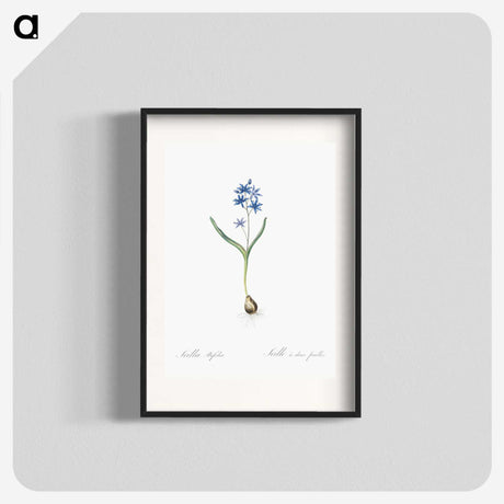 2-58_The-Lilies_blk