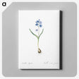 2-58_The-Lilies_canvas