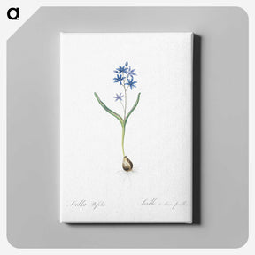 2-58_The-Lilies_canvas