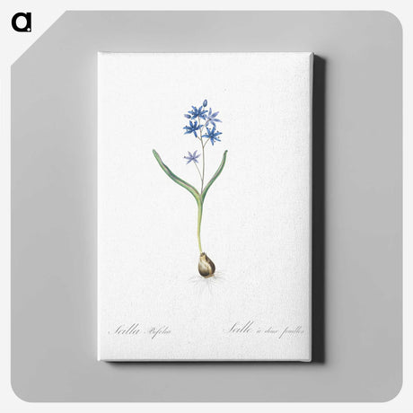 2-58_The-Lilies_canvas