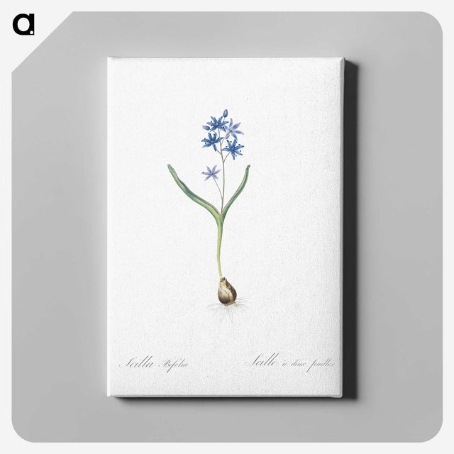 2-58_The-Lilies_canvas