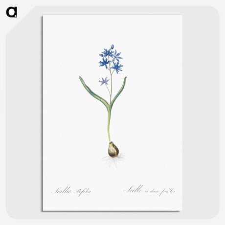 2-58_The-Lilies_picture-crop