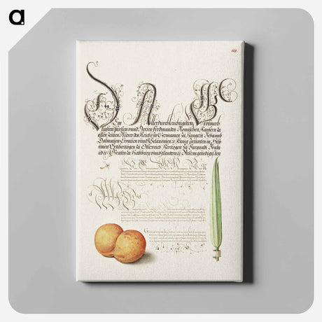アートパネル-Mayfly, Apricot, and Reed Grass from Mira Calligraphiae Monumenta
 - 書道のお手本 Canvas.